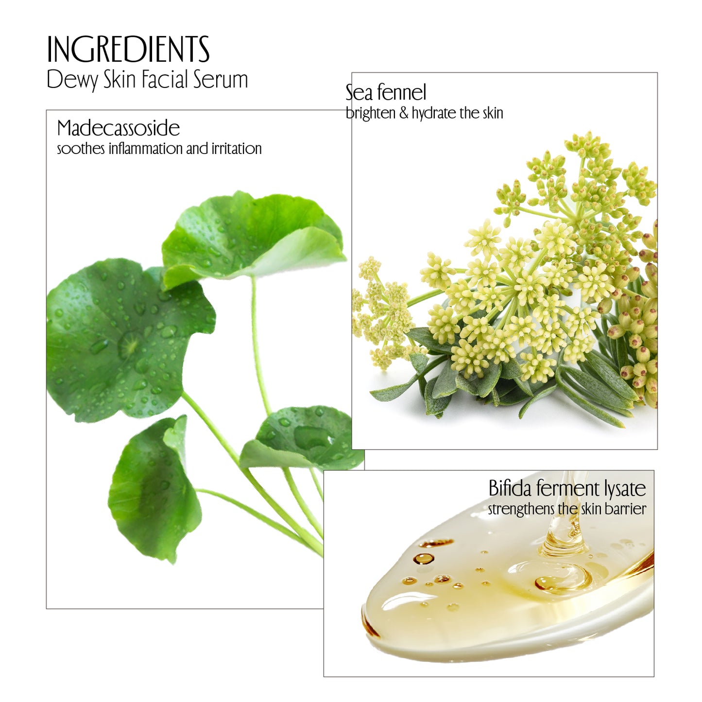DEWY SKIN ESSENCE Brightening Repairing Facial Serum